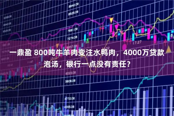 一鼎盈 800吨牛羊肉变注水鸭肉，4000万贷款泡汤，银行一点没有责任？