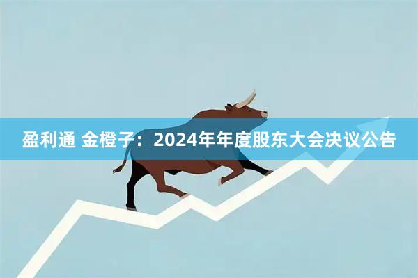盈利通 金橙子：2024年年度股东大会决议公告