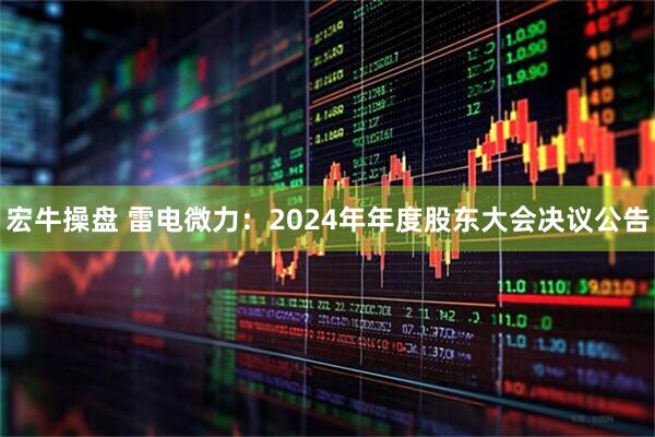 宏牛操盘 雷电微力：2024年年度股东大会决议公告