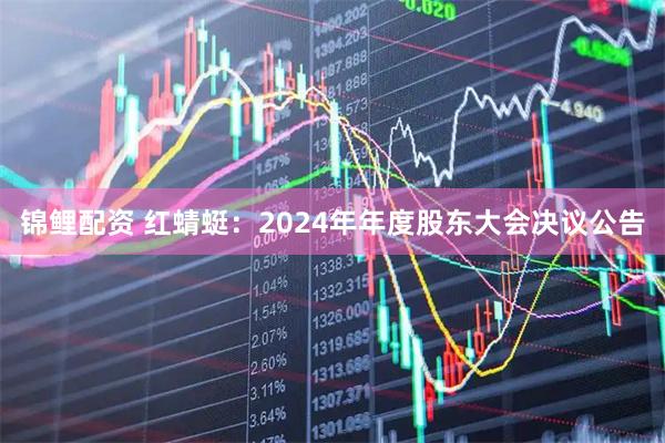 锦鲤配资 红蜻蜓：2024年年度股东大会决议公告