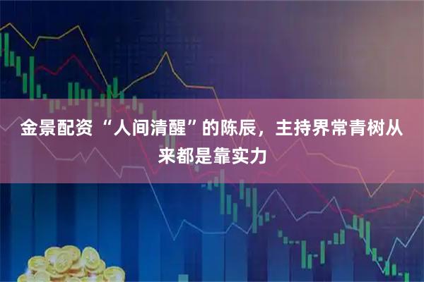 金景配资 “人间清醒”的陈辰，主持界常青树从来都是靠实力