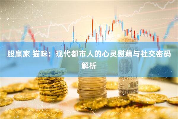 股赢家 猫咪：现代都市人的心灵慰藉与社交密码解析