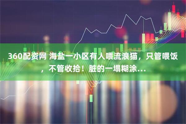 360配资网 海盐一小区有人喂流浪猫，只管喂饭，不管收拾！脏的一塌糊涂…
