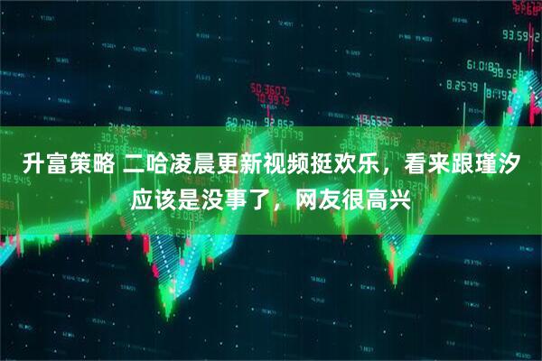 升富策略 二哈凌晨更新视频挺欢乐，看来跟瑾汐应该是没事了，网友很高兴
