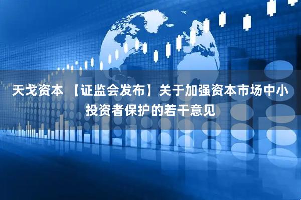 天戈资本 【证监会发布】关于加强资本市场中小投资者保护的若干意见