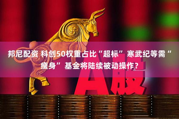 邦尼配资 科创50权重占比“超标” 寒武纪等需“瘦身” 基金将陆续被动操作？