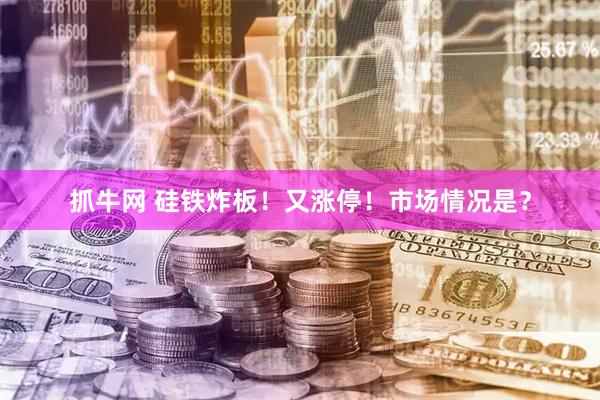 抓牛网 硅铁炸板！又涨停！市场情况是？